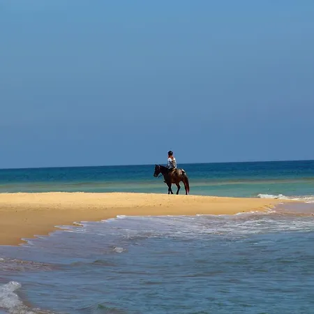 Casa Le Dune Διαμέρισμα